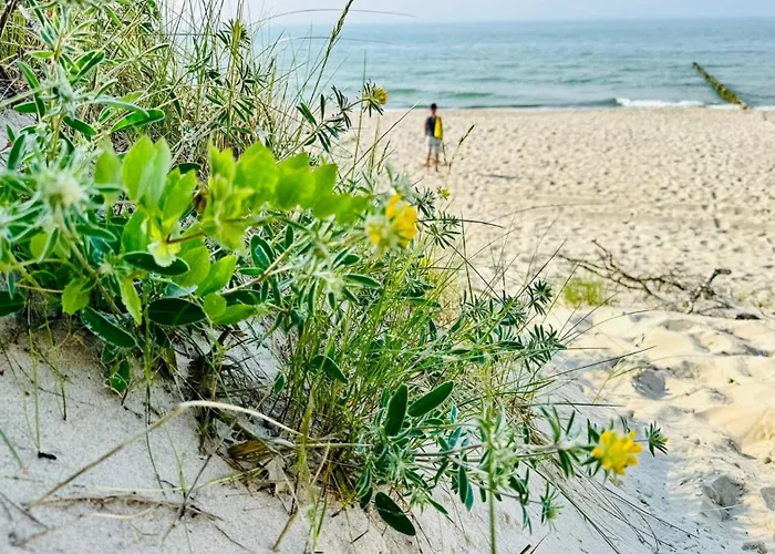 Дом отдыха Baltyckie Zacisze Dom Nr 3